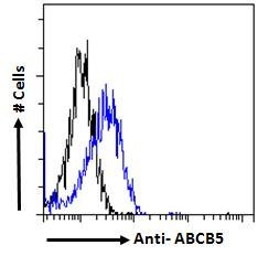 ABCB5 Antibody in Flow Cytometry (Flow)