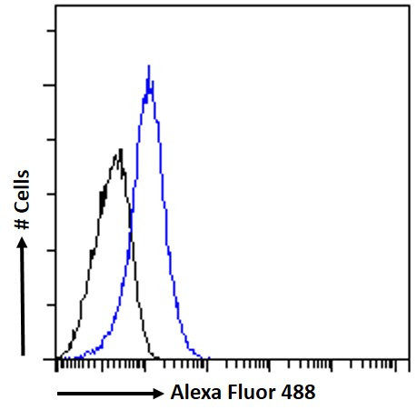 HOXD10 Antibody in Flow Cytometry (Flow)