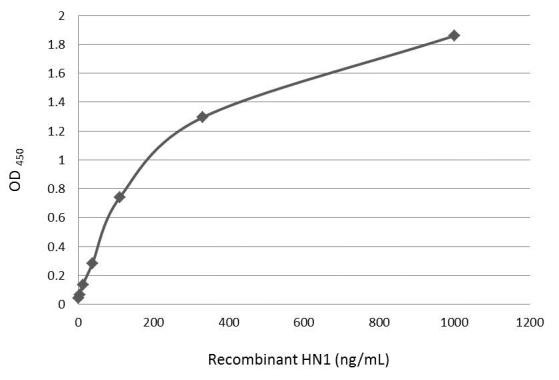 HN1 Antibody in ELISA (ELISA)