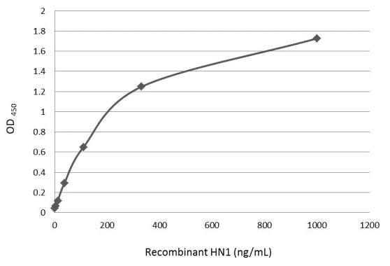 HN1 Antibody in ELISA (ELISA)