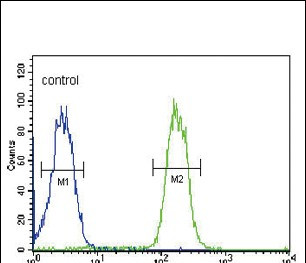 MRP3 Antibody in Flow Cytometry (Flow)