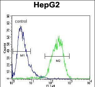 CHPT1 Antibody in Flow Cytometry (Flow)