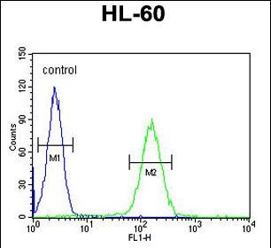 NOS1AP Antibody in Flow Cytometry (Flow)