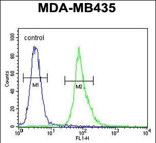 AKT1 Antibody in Flow Cytometry (Flow)