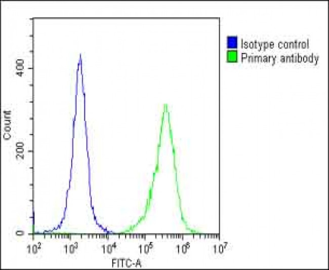 Folate Receptor alpha Antibody in Flow Cytometry (Flow)