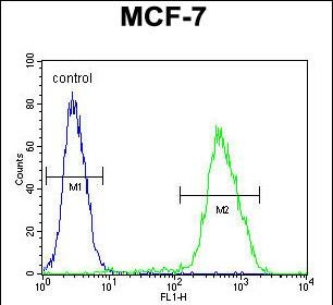 LMO4 Antibody in Flow Cytometry (Flow)