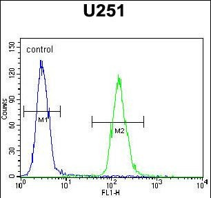 ZNF536 Antibody in Flow Cytometry (Flow)