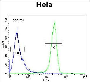 DTL Antibody in Flow Cytometry (Flow)