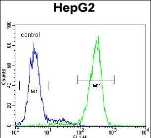 NUDT15 Antibody in Flow Cytometry (Flow)