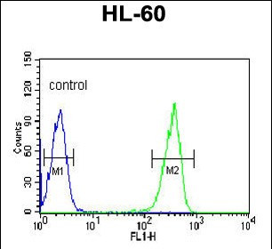 KRT9 Antibody in Flow Cytometry (Flow)