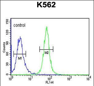 GTF2IRD2 Antibody in Flow Cytometry (Flow)