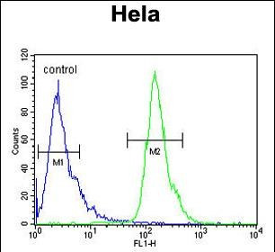 POTEH Antibody in Flow Cytometry (Flow)