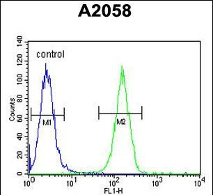 Ku70 Antibody in Flow Cytometry (Flow)