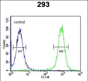 EPC2 Antibody in Flow Cytometry (Flow)