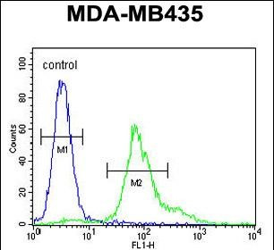 ERO1LB Antibody in Flow Cytometry (Flow)