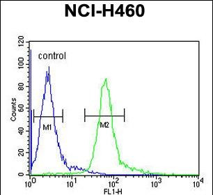 Histone H1.5 Antibody in Flow Cytometry (Flow)