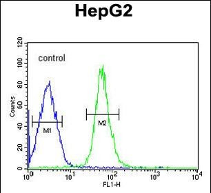 HMGA2 Antibody in Flow Cytometry (Flow)