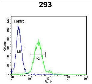 EpCAM Antibody in Flow Cytometry (Flow)