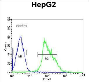 USP17 Antibody in Flow Cytometry (Flow)