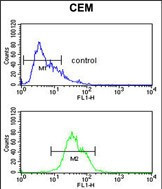 ITGA5 Antibody in Flow Cytometry (Flow)