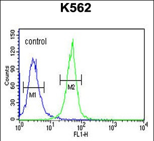 KRTAP1-1 Antibody in Flow Cytometry (Flow)