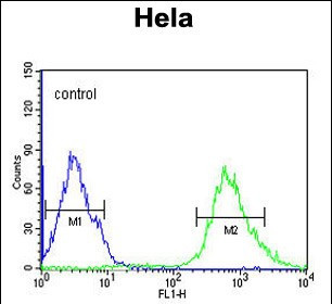 Importin 9 Antibody in Flow Cytometry (Flow)