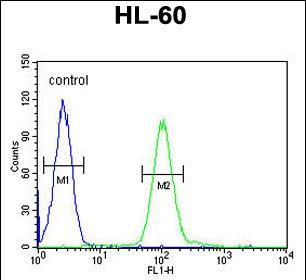 COQ7 Antibody in Flow Cytometry (Flow)