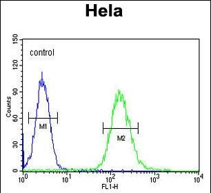 Clathrin Heavy Chain Antibody in Flow Cytometry (Flow)