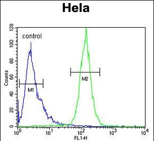 Cyclophilin C Antibody in Flow Cytometry (Flow)