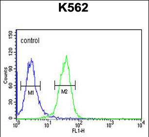 PGP Antibody in Flow Cytometry (Flow)