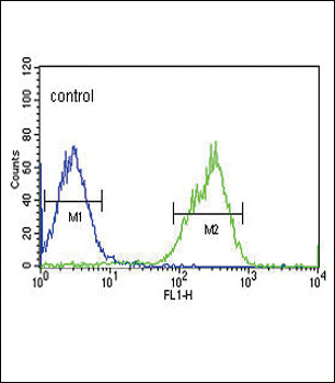 MAP4K3 Antibody in Flow Cytometry (Flow)