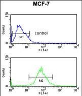 AIM2 Antibody in Flow Cytometry (Flow)