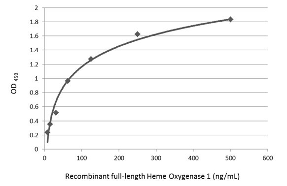 HMOX1 Antibody in ELISA (ELISA)