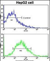 LGR5 Antibody in Flow Cytometry (Flow)