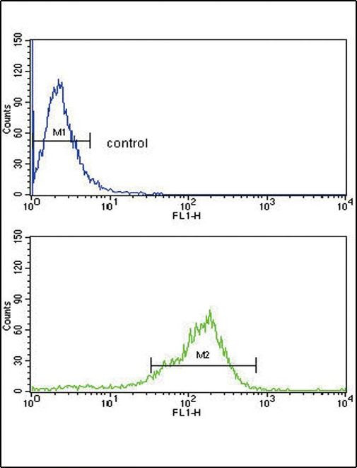 Thrombospondin 1 Antibody in Flow Cytometry (Flow)