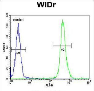 VPS26A Antibody in Flow Cytometry (Flow)