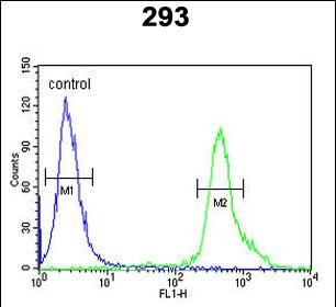 p73 Antibody in Flow Cytometry (Flow)