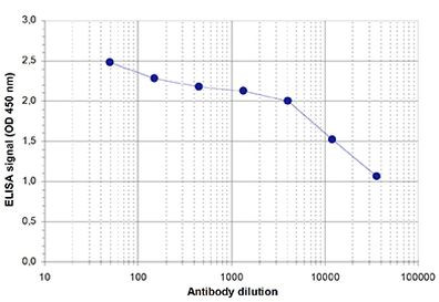 ZBTB38 Antibody in ELISA (ELISA)