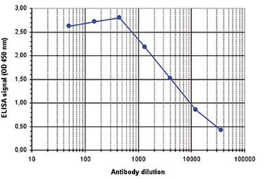 H3K64me3 Antibody in ELISA (ELISA)