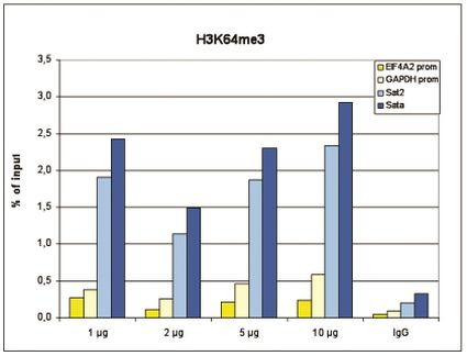 H3K64me3 Antibody in ChIP Assay (ChIP)