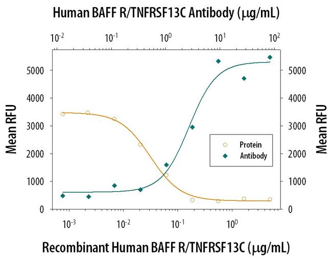 CD268 (BAFF Receptor) Antibody in Neutralization (Neu)