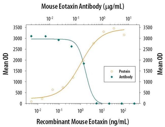 Eotaxin Antibody