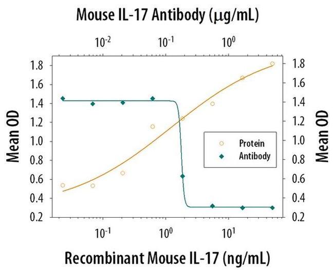 IL-17A Antibody