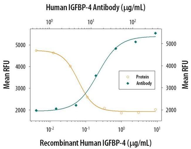 IGFBP4 Antibody