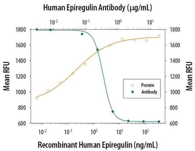 Epiregulin Antibody
