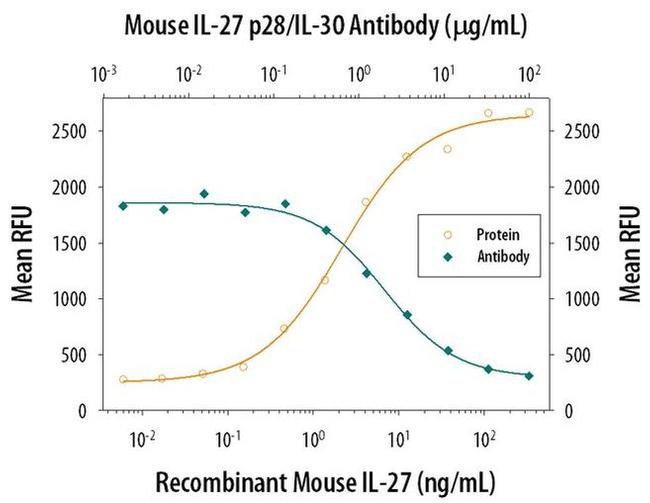 IL-27 p28 Antibody