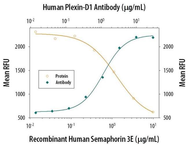 PLXND1 Antibody