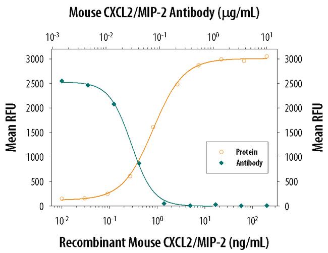 CXCL2 Antibody in Neutralization (Neu)