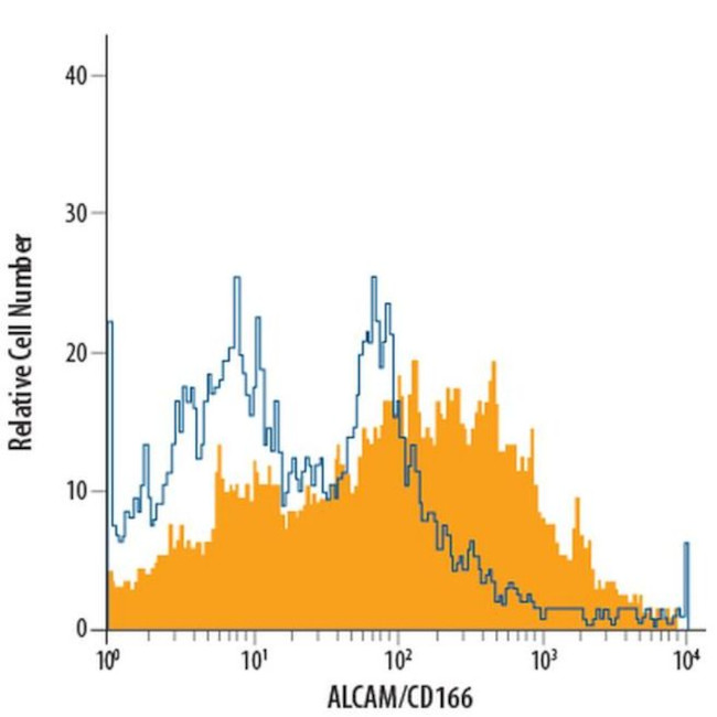 CD166 Antibody in Flow Cytometry (Flow)