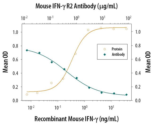 IFNGR2 Antibody in Neutralization (Neu)